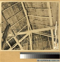 藏品(亞答葉屋頂內面)的圖片